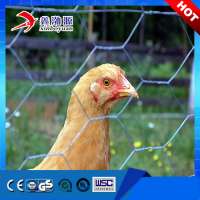 Factory cheap price agricultural wire netting galvanized hexagonal chicken wire mesh